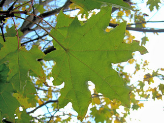 Similar image 21943887