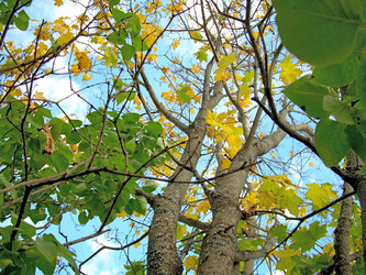 Similar image 21943888