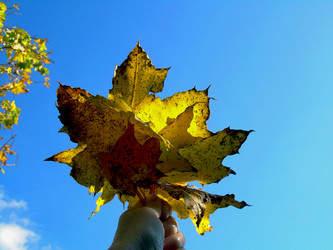 Similar image 21943294