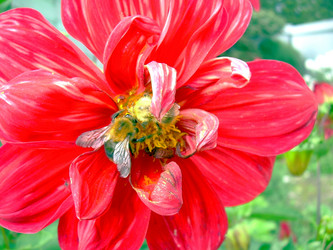 Similar image 21943889