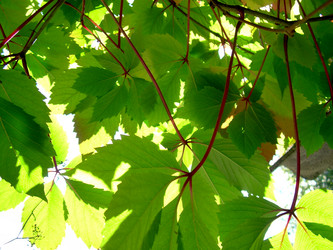 Similar image 21943295