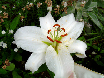 Similar image 21943296