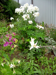 Similar image 21943297