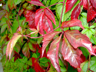 Similar image 21943298