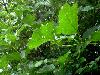 Similar image 21943890