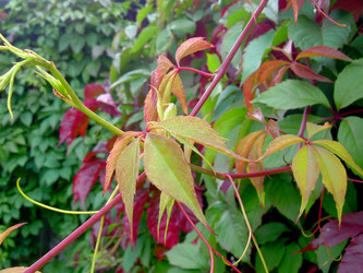 Similar image 21943891