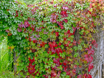 Similar image 21943892