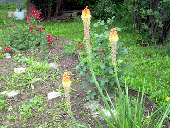 Similar image 21943299