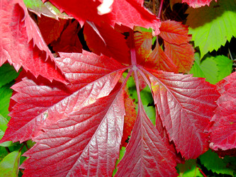 Similar image 21943894