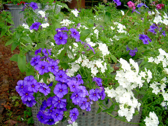 Similar image 21943300