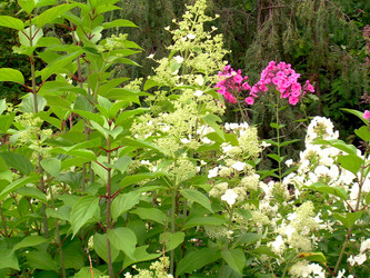 Similar image 21943301