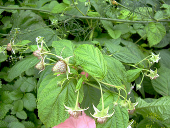 Similar image 21943302