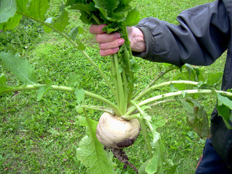 Similar image 21943303