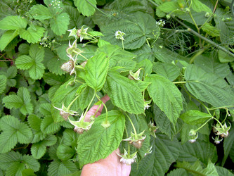 Similar image 21943895