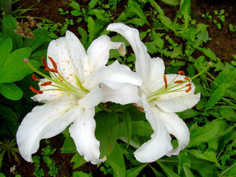 Similar image 21943896