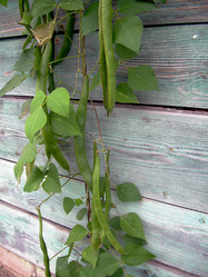 Similar image 21943897