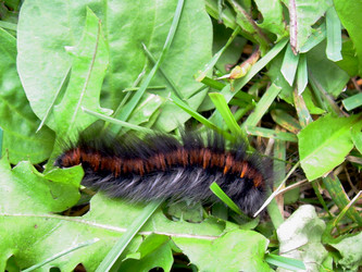 Similar image 21943900