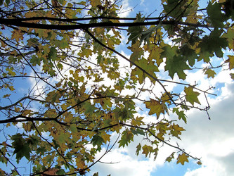 Similar image 21943903