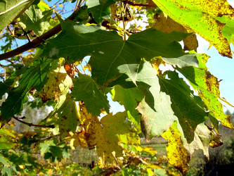 Similar image 21943905