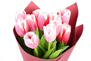 Similar image 21943214