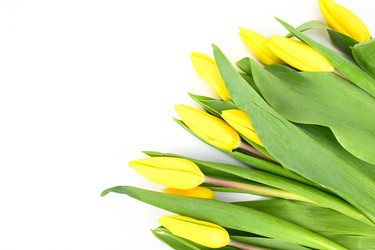 Similar image 21943215