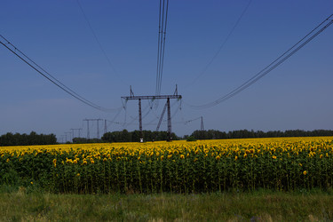 Similar image 21939790