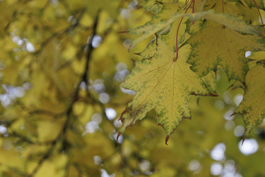 Similar image 21942187