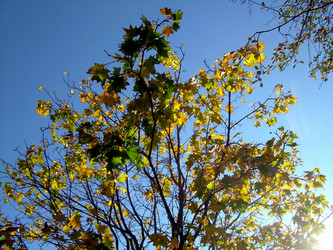 Similar image 21943906