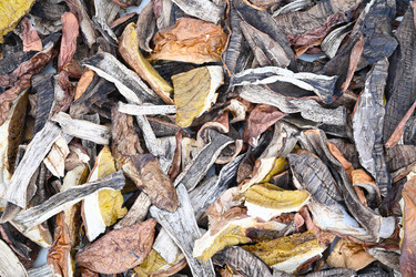 Similar image 21943257