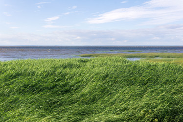 Similar image 21943305