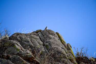 Similar image 21942554