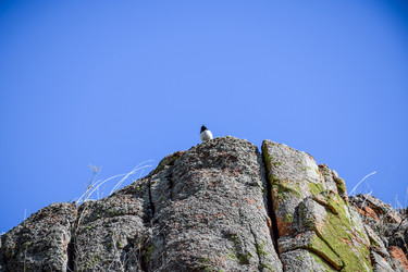 Similar image 21942555