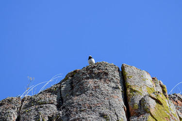 Similar image 21942556