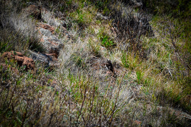 Similar image 21942559