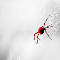 Similar image 21945349