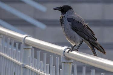 Similar image 21943320