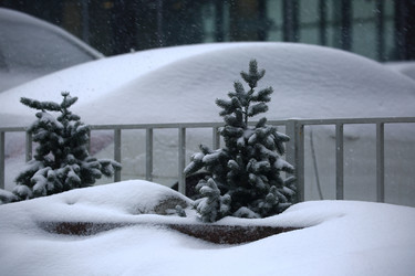 Similar image 21939918