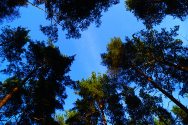 Similar image 21939794