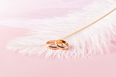 Similar image 21942575