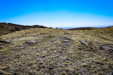 Similar image 21942610