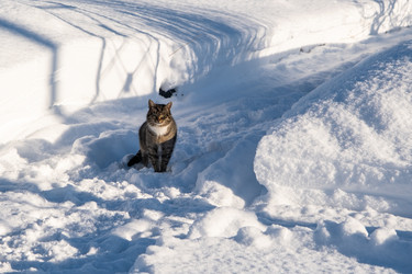 Similar image 21946479