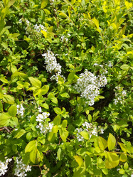 Similar image 21946481