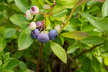 Similar image 21946482