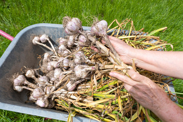 Similar image 21946483