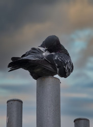 Similar image 21940251