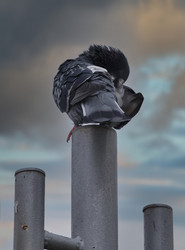 Similar image 21940253