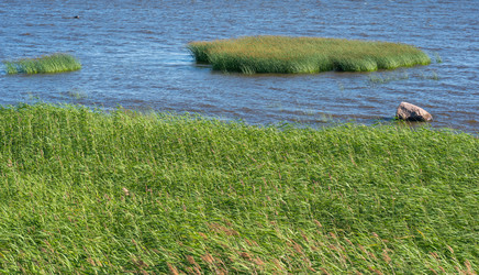 Similar image 21943337