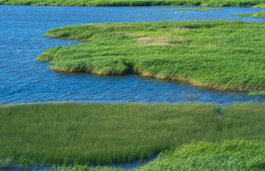 Similar image 21943340