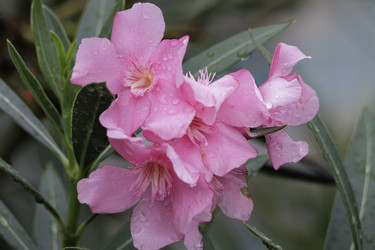 Similar image 21942193