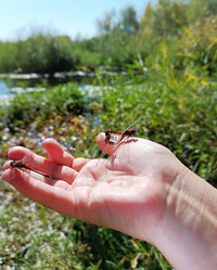 Similar image 21942153